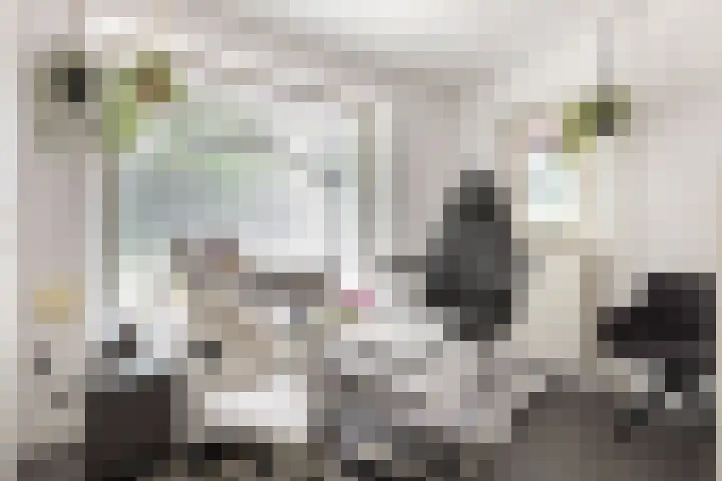 Lijsterbesdreef 15 Bergeijk thumbnail 12