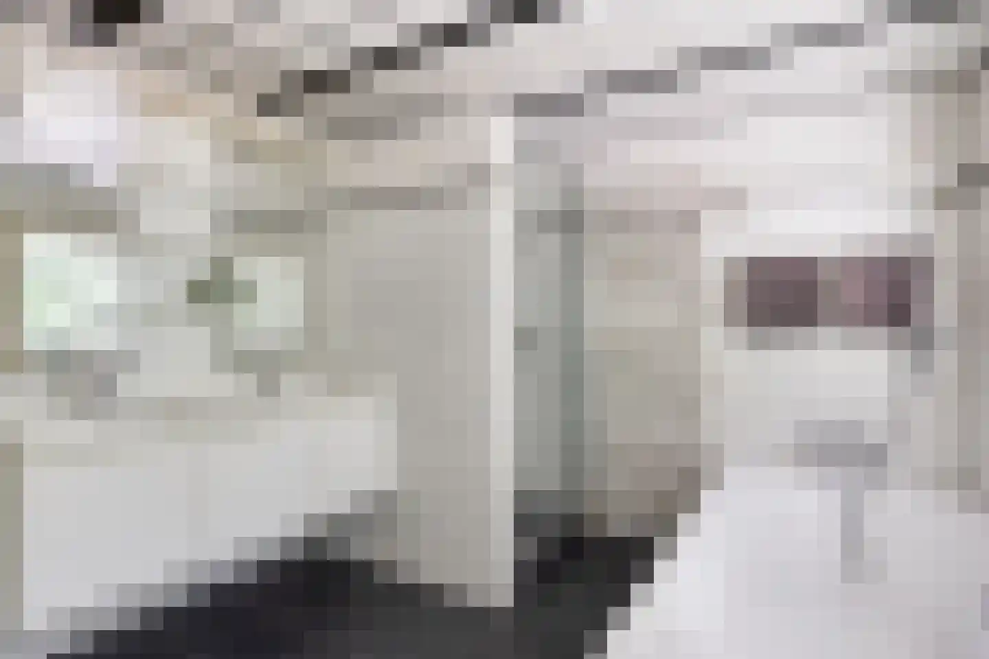 Lijsterbesdreef 15 Bergeijk thumbnail 18