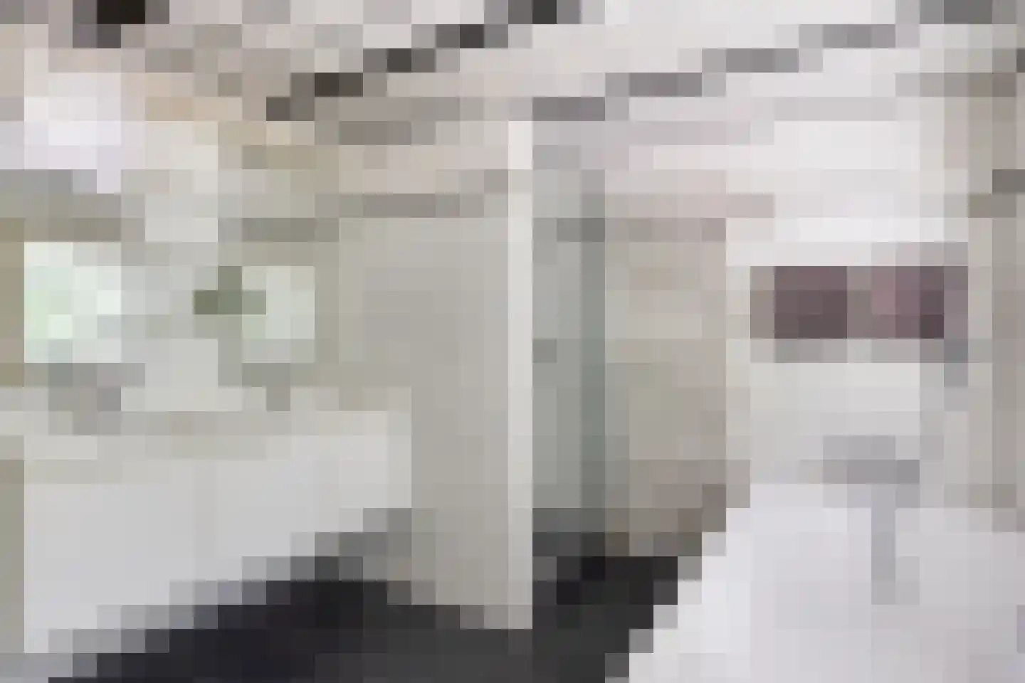 Lijsterbesdreef 15 Bergeijk thumbnail 19