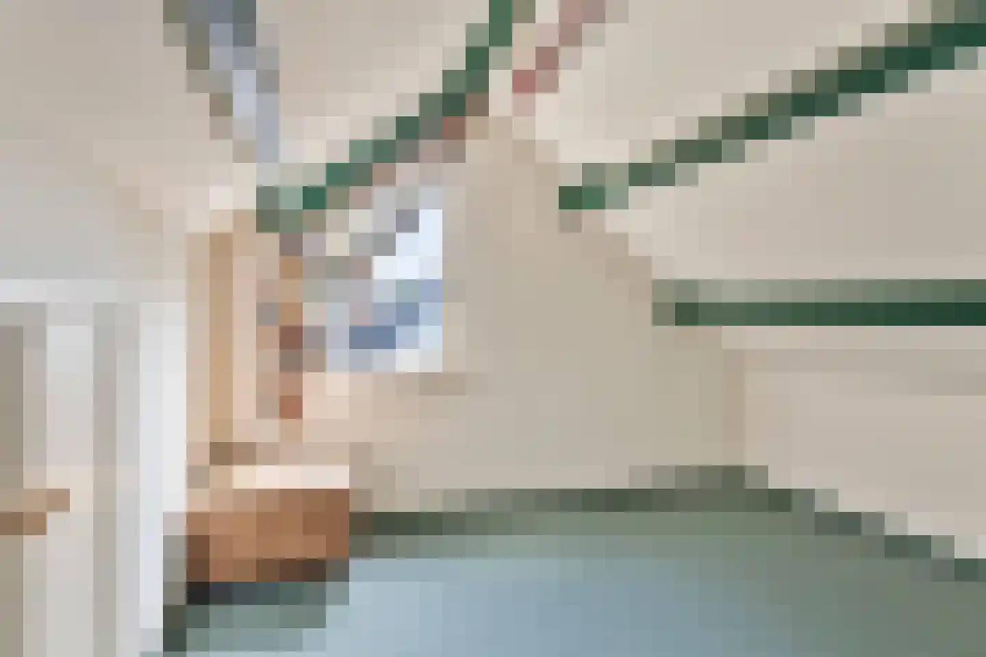 Lijsterbesdreef 15 Bergeijk thumbnail 20