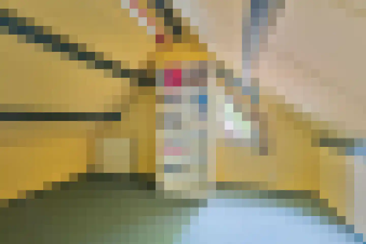 Lijsterbesdreef 15 Bergeijk thumbnail 21