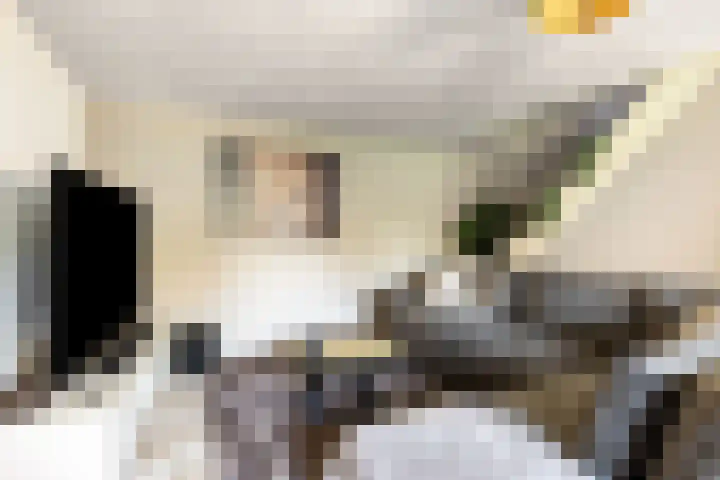 Lijsterbesdreef 15 Bergeijk thumbnail 23