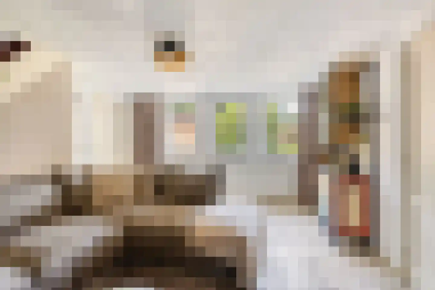 Lijsterbesdreef 15 Bergeijk thumbnail 24