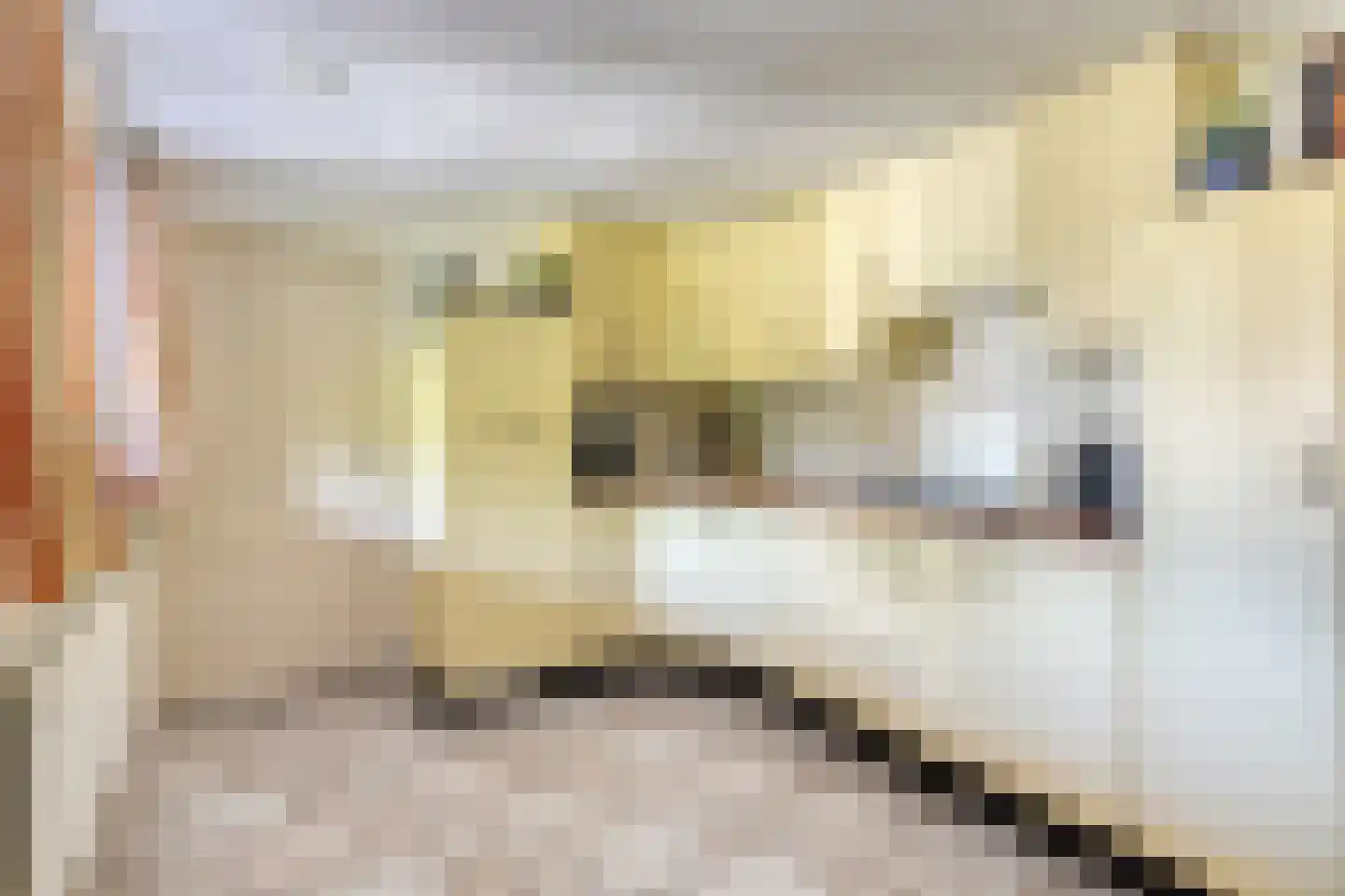 Lijsterbesdreef 15 Bergeijk thumbnail 25