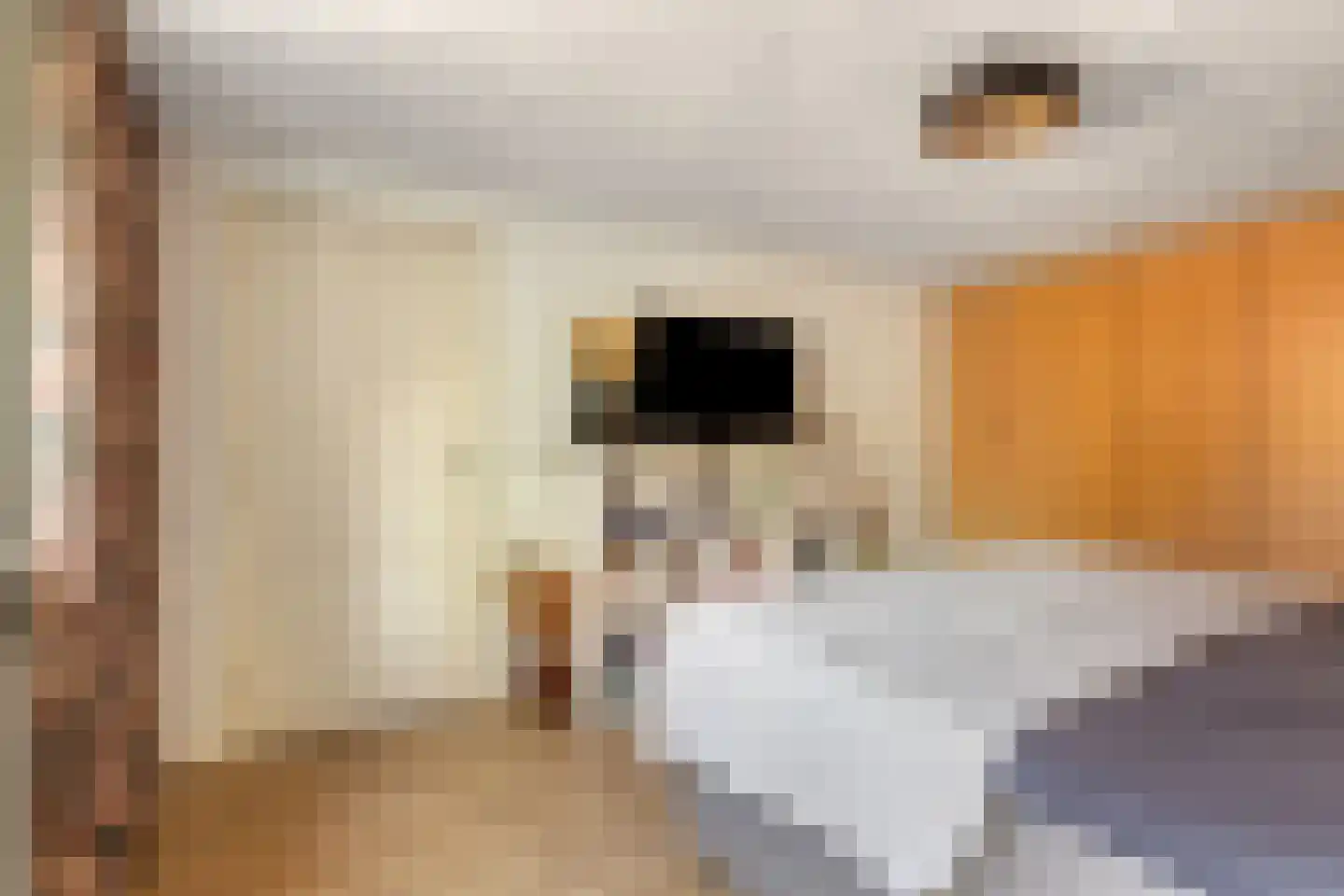 Lijsterbesdreef 15 Bergeijk thumbnail 27