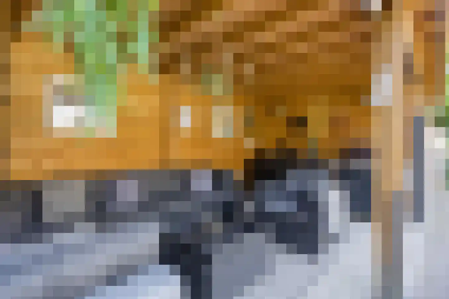 Lijsterbesdreef 15 Bergeijk thumbnail 28