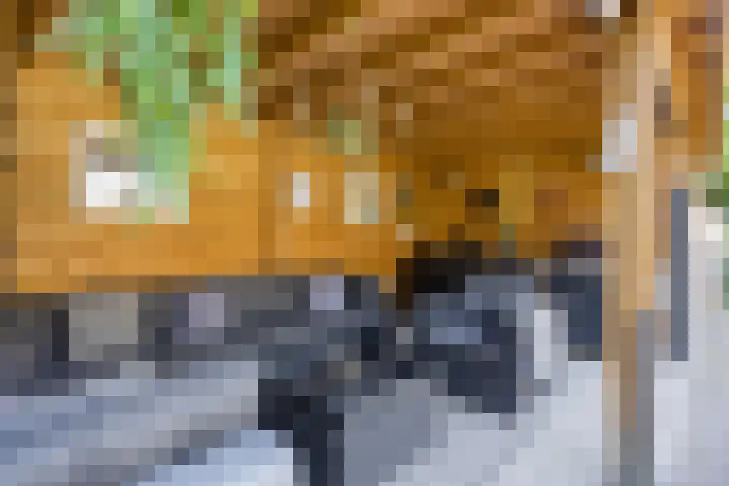 Lijsterbesdreef 15 Bergeijk thumbnail 30