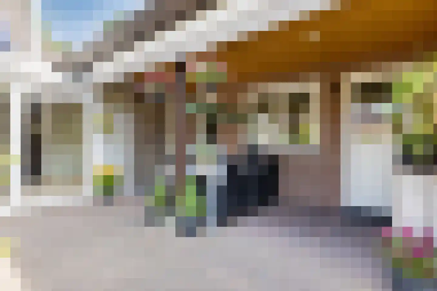Lijsterbesdreef 15 Bergeijk thumbnail 31