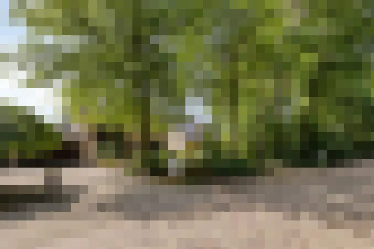 Lijsterbesdreef 15 Bergeijk thumbnail 4