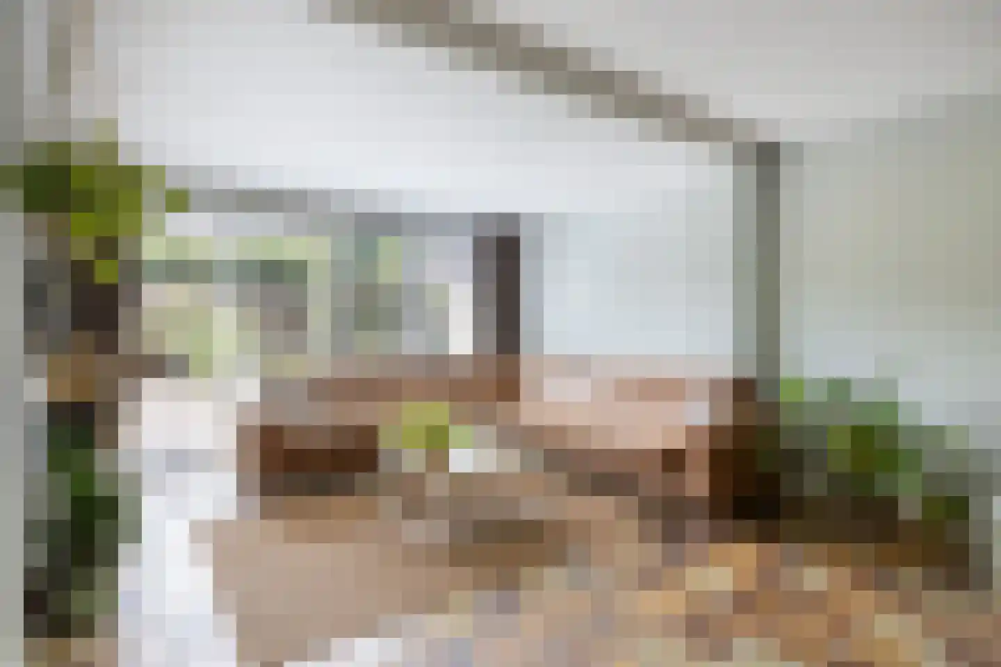 Lijsterbesdreef 15 Bergeijk thumbnail 6
