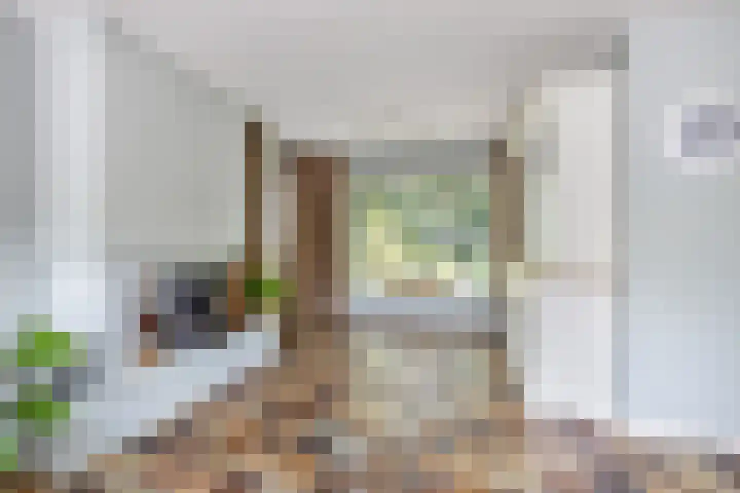 Lijsterbesdreef 15 Bergeijk thumbnail 7