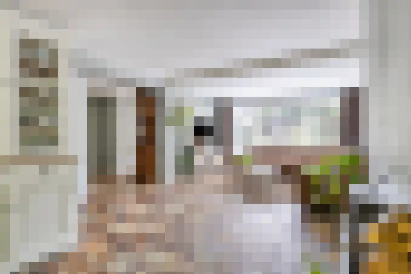 Lijsterbesdreef 15 Bergeijk thumbnail 8