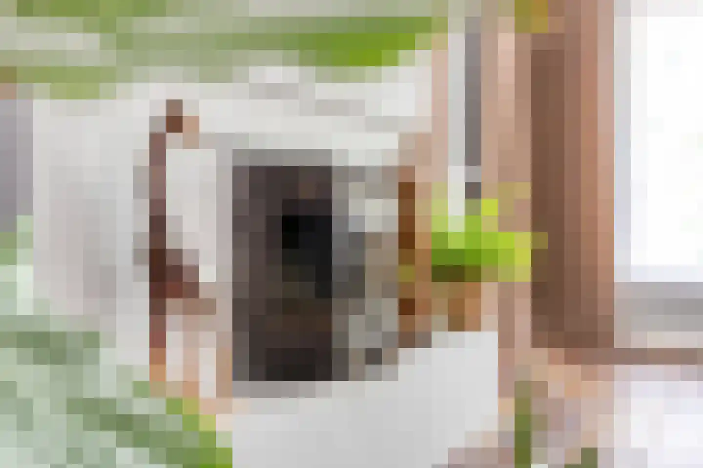 Lijsterbesdreef 15 Bergeijk thumbnail 8