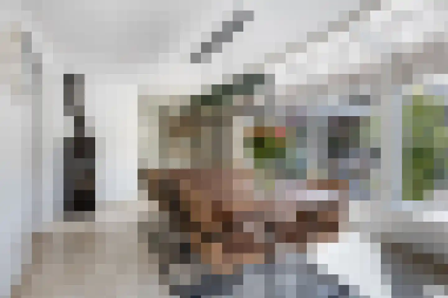 Lijsterbesdreef 15 Bergeijk thumbnail 9