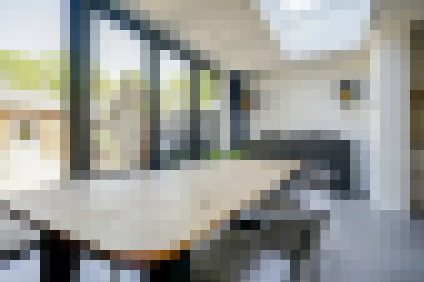 Lijsterbesdreef 22 Bleiswijk thumbnail 19