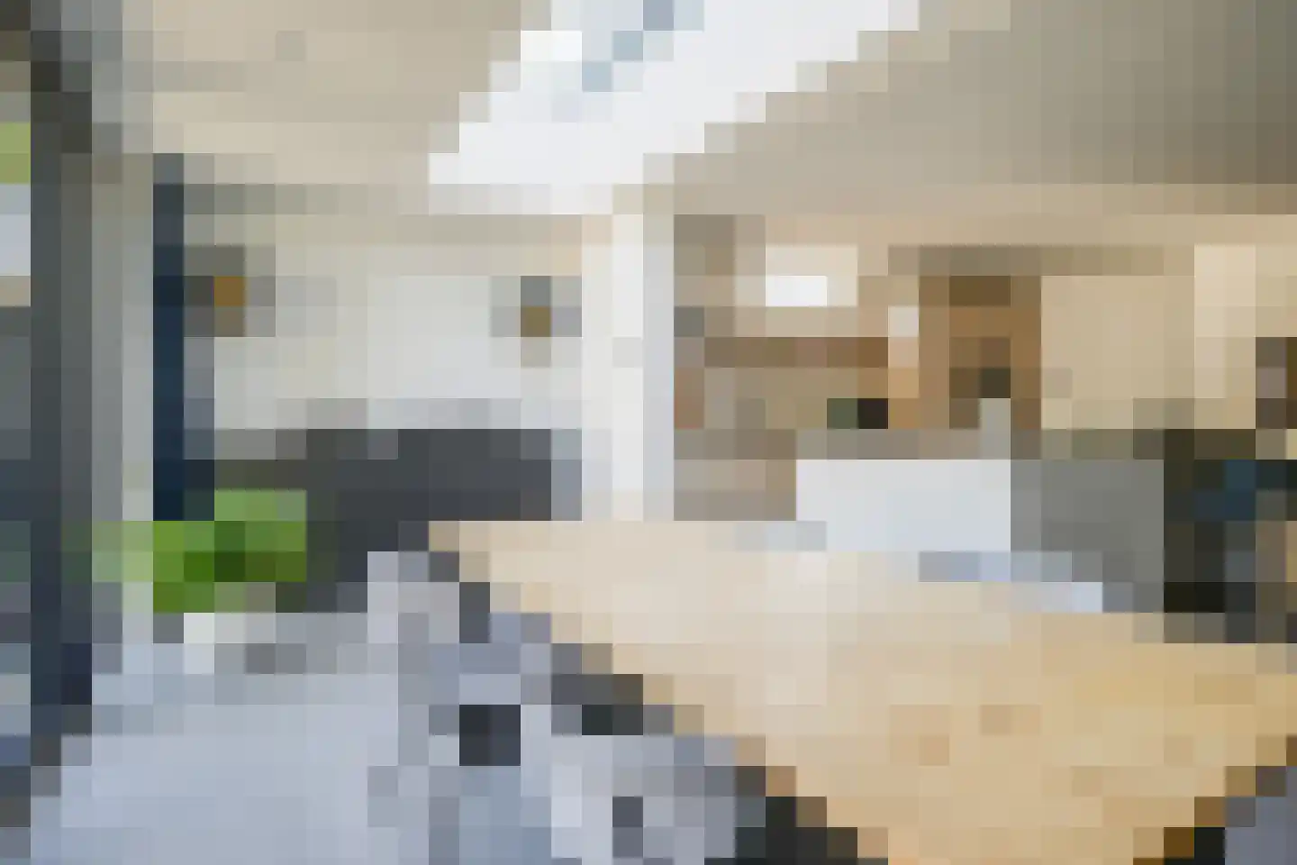 Lijsterbesdreef 22 Bleiswijk thumbnail 20