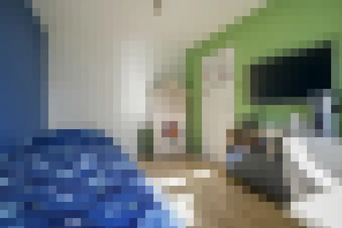Lijsterbesdreef 22 Bleiswijk thumbnail 28