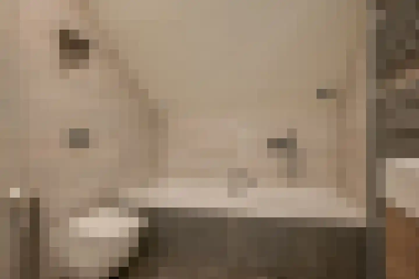 Lijsterbesdreef 22 Bleiswijk thumbnail 33