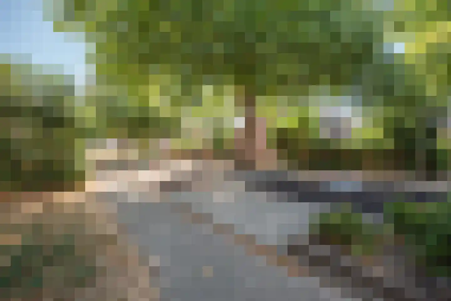 Lijsterbesdreef 22 Bleiswijk thumbnail 48