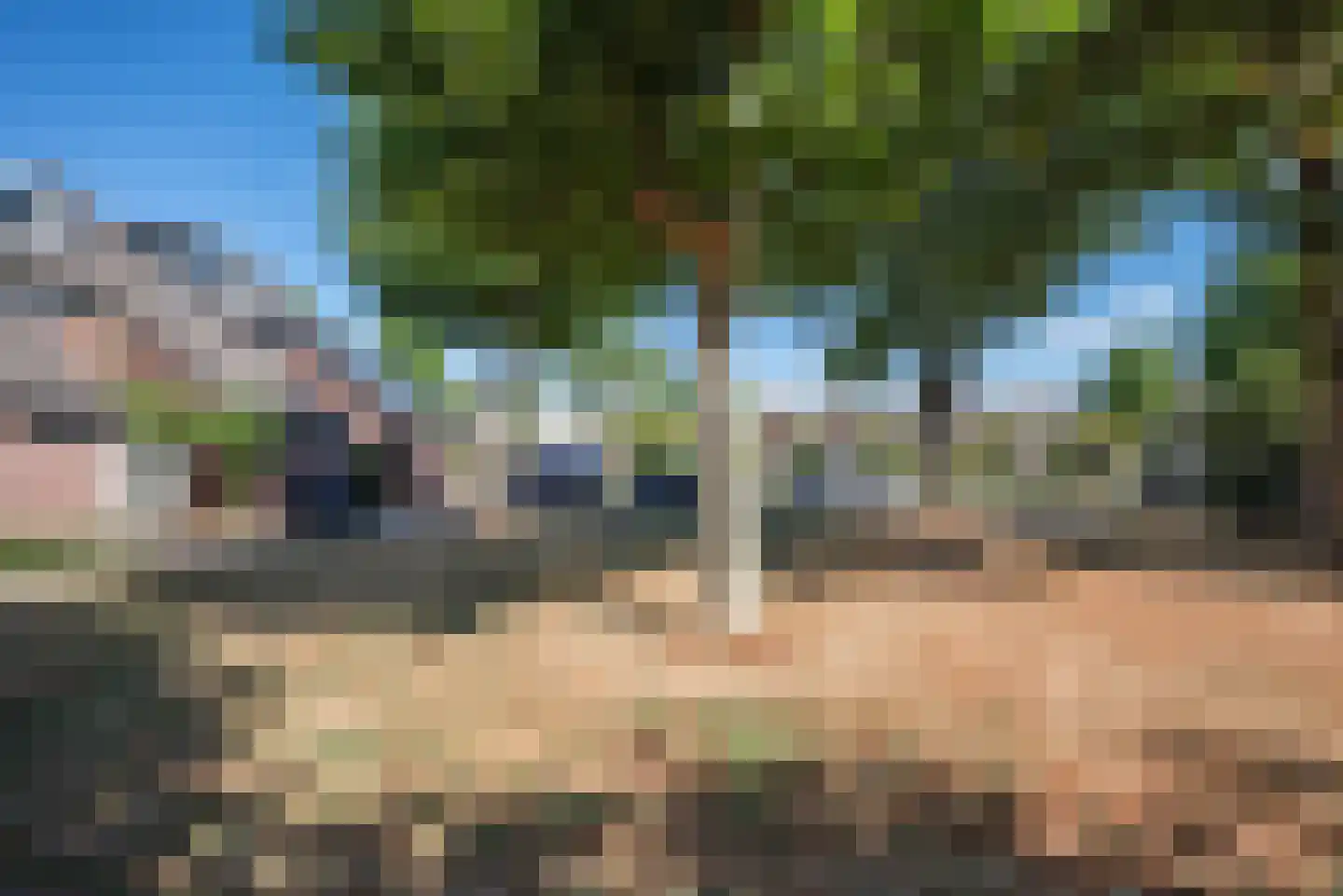 Lijsterbesdreef 22 Bleiswijk thumbnail 49