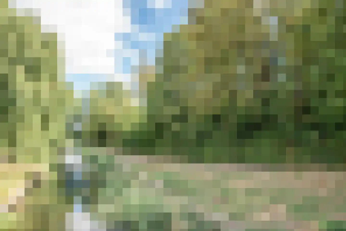 Lijsterbesdreef 22 Bleiswijk thumbnail 50