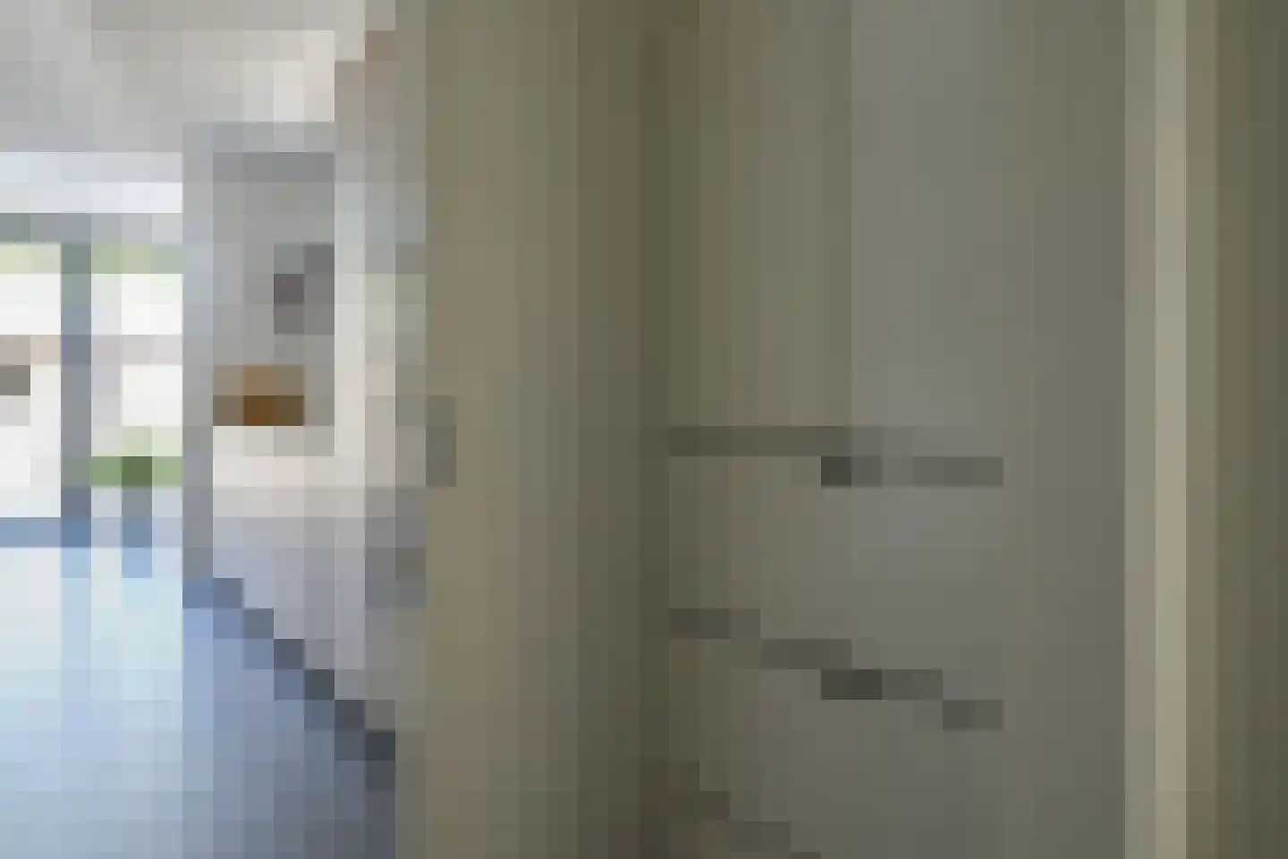 Lijsterbesdreef 22 Bleiswijk thumbnail 8