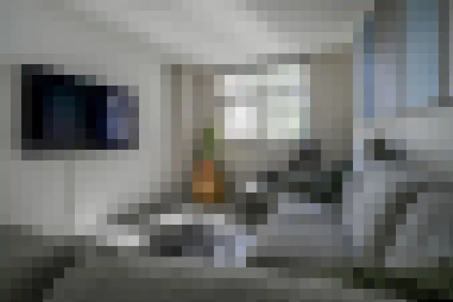 Lijsterbesdreef 22 Bleiswijk thumbnail 9