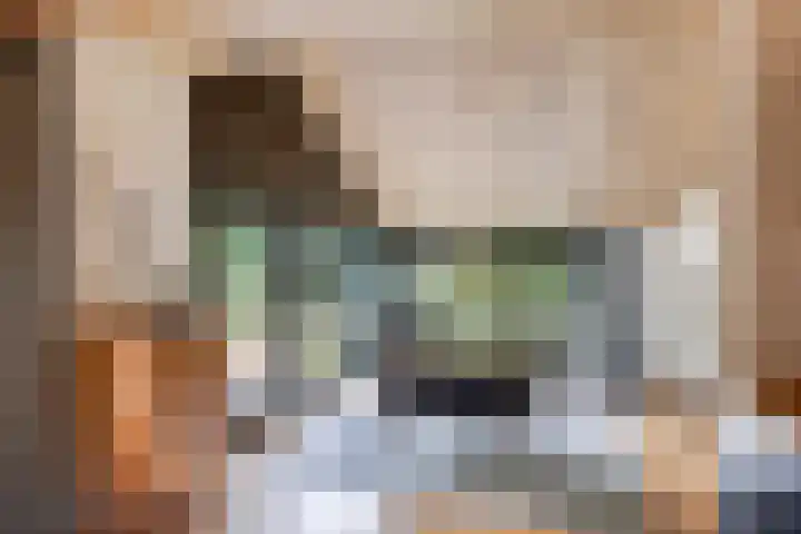 Lijsterbesdreef 27 Bergeijk thumbnail 10