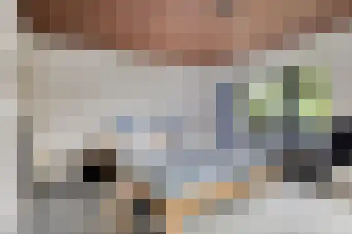 Lijsterbesdreef 27 Bergeijk thumbnail 15