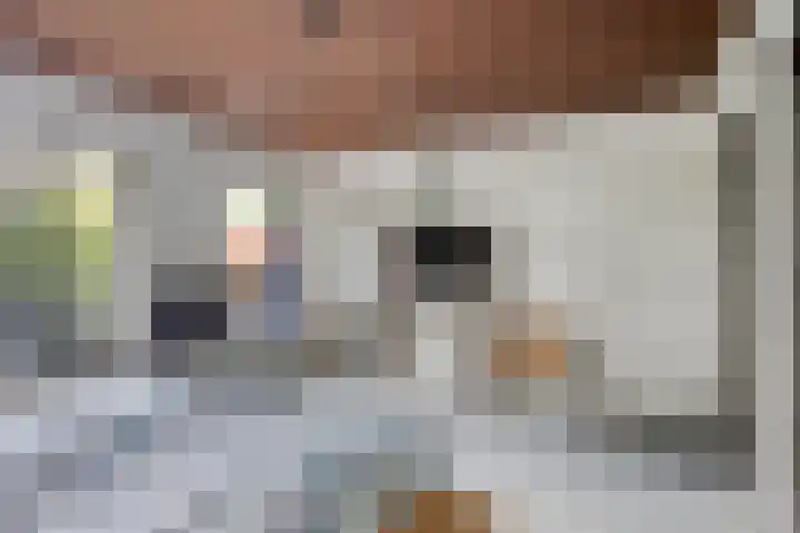 Lijsterbesdreef 27 Bergeijk thumbnail 16
