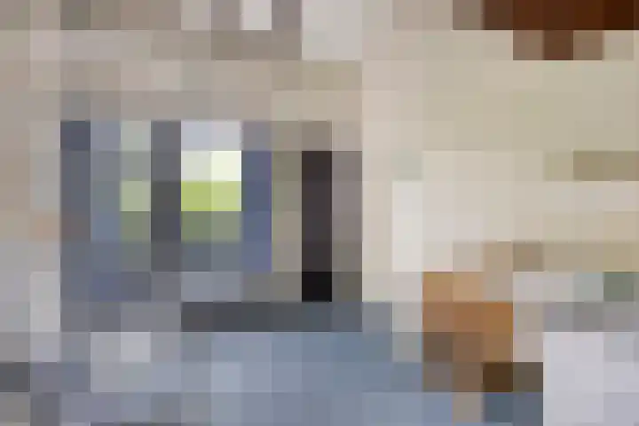 Lijsterbesdreef 27 Bergeijk thumbnail 17