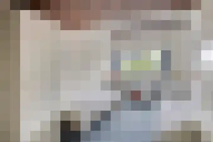 Lijsterbesdreef 27 Bergeijk thumbnail 19