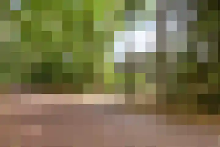 Lijsterbesdreef 27 Bergeijk foto 2