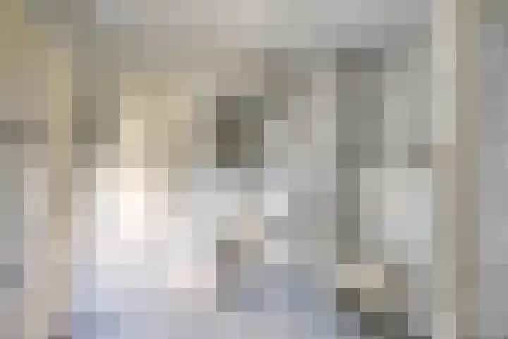 Lijsterbesdreef 27 Bergeijk thumbnail 22