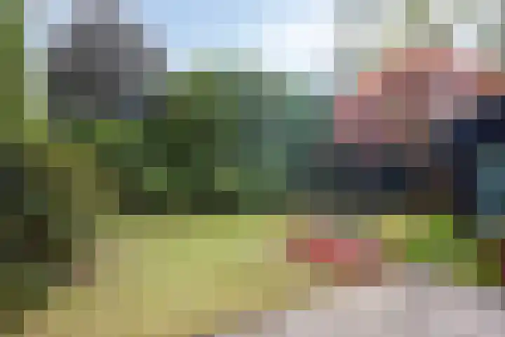 Lijsterbesdreef 27 Bergeijk thumbnail 24
