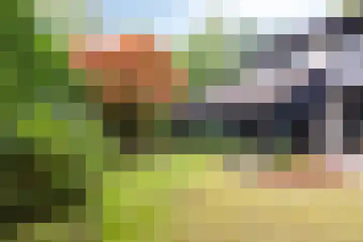 Lijsterbesdreef 27 Bergeijk thumbnail 26