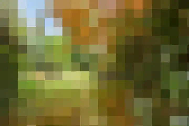Lijsterbesdreef 27 Bergeijk thumbnail 27
