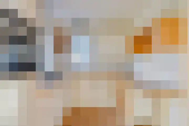 Lijsterbesdreef 5 Heeswijk-Dinther thumbnail 11