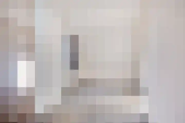 Lijsterbesdreef 5 Heeswijk-Dinther thumbnail 18