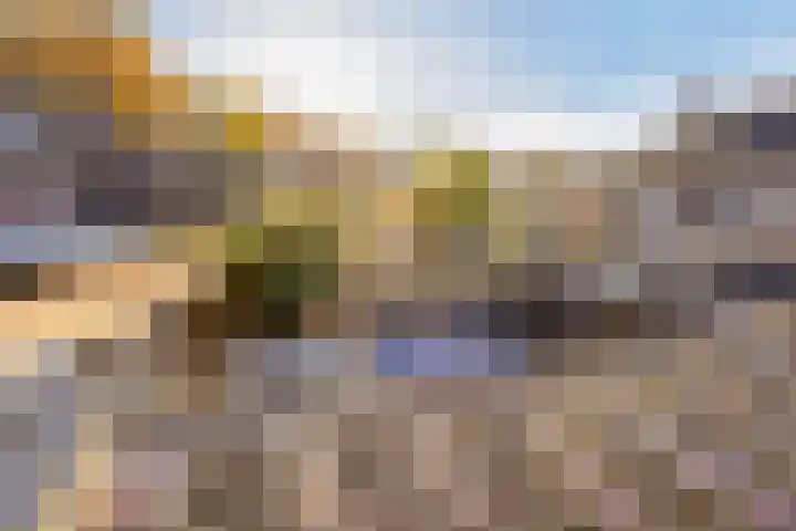 Lijsterbesdreef 5 Heeswijk-Dinther thumbnail 30