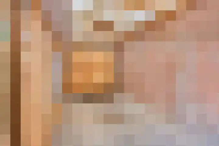 Lijsterbesdreef 5 Heeswijk-Dinther thumbnail 35