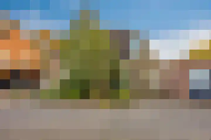 Lijsterbesdreef 5 Heeswijk-Dinther thumbnail 38