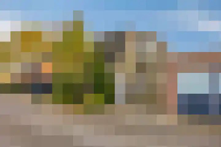 Lijsterbesdreef 5 Heeswijk-Dinther thumbnail 39