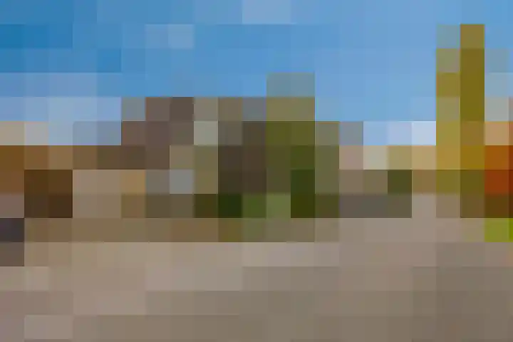 Lijsterbesdreef 5 Heeswijk-Dinther thumbnail 40