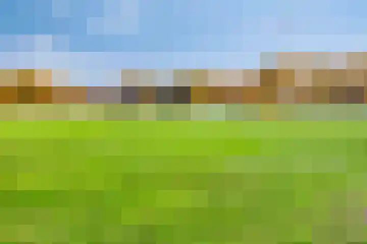 Lijsterbesdreef 5 Heeswijk-Dinther thumbnail 43