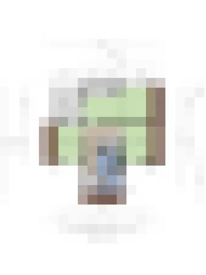 Lijsterbesdreef 5 Heeswijk-Dinther thumbnail 46