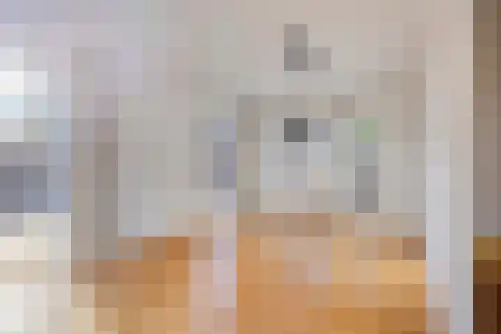 Lijsterbesdreef 5 Heeswijk-Dinther thumbnail 9