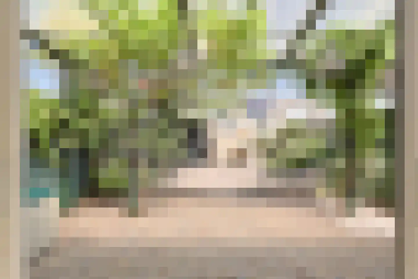 Lijsterbesgaard 42 Boxtel thumbnail 24