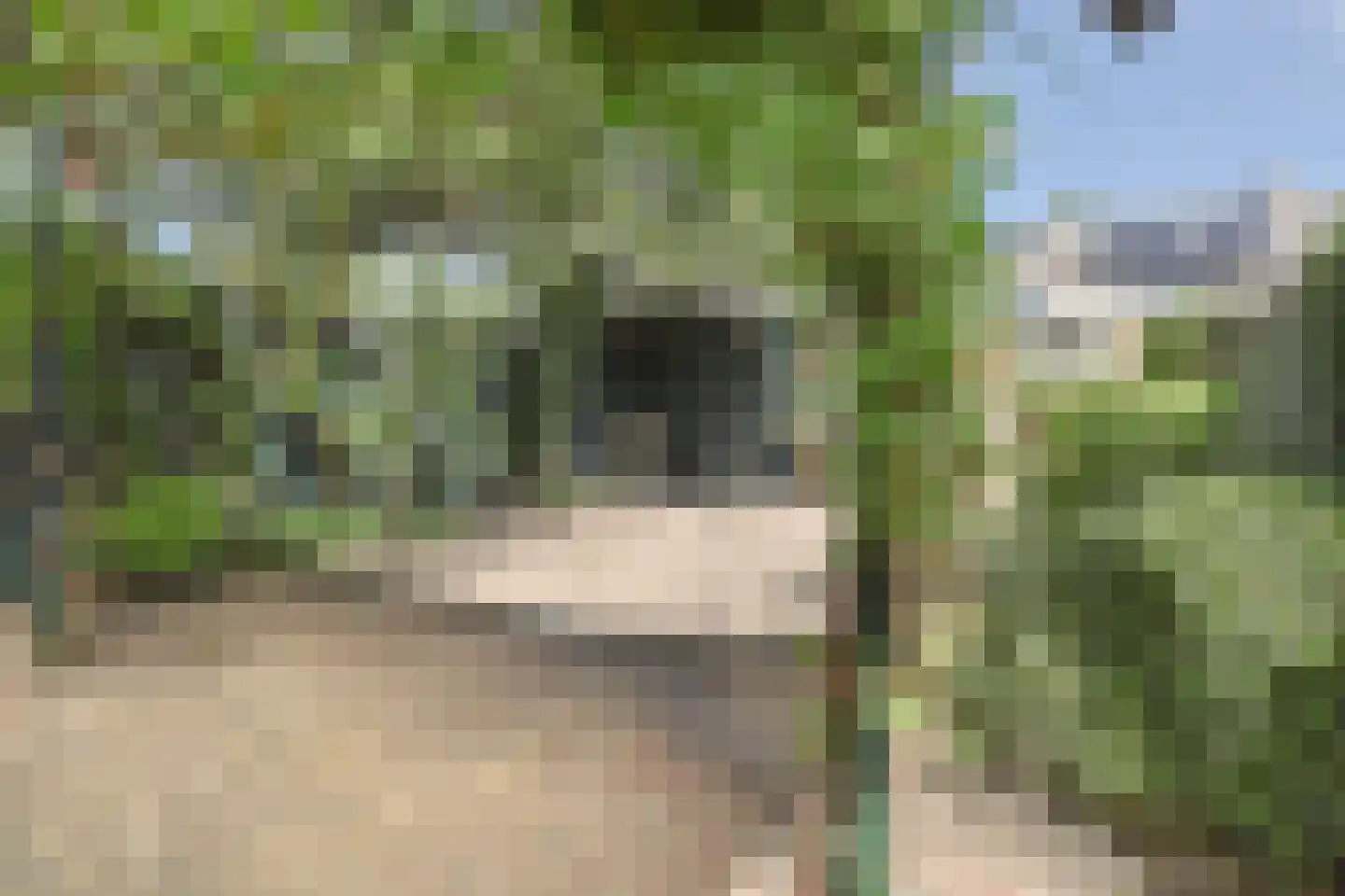 Lijsterbesgaard 42 Boxtel thumbnail 25