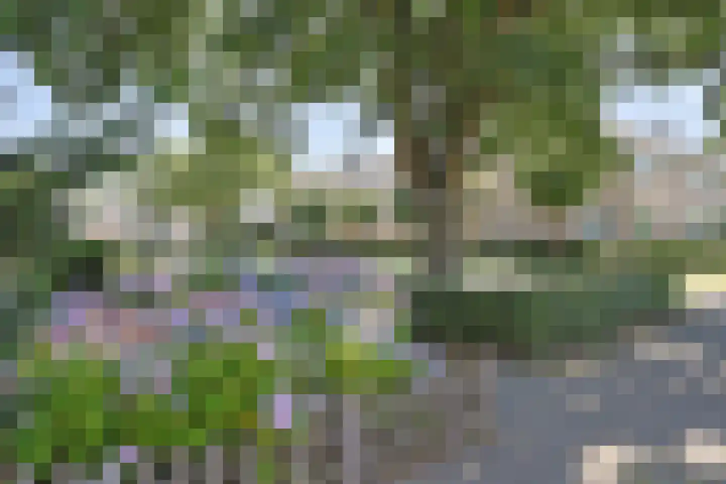 Lijsterbesgaard 42 Boxtel thumbnail 56